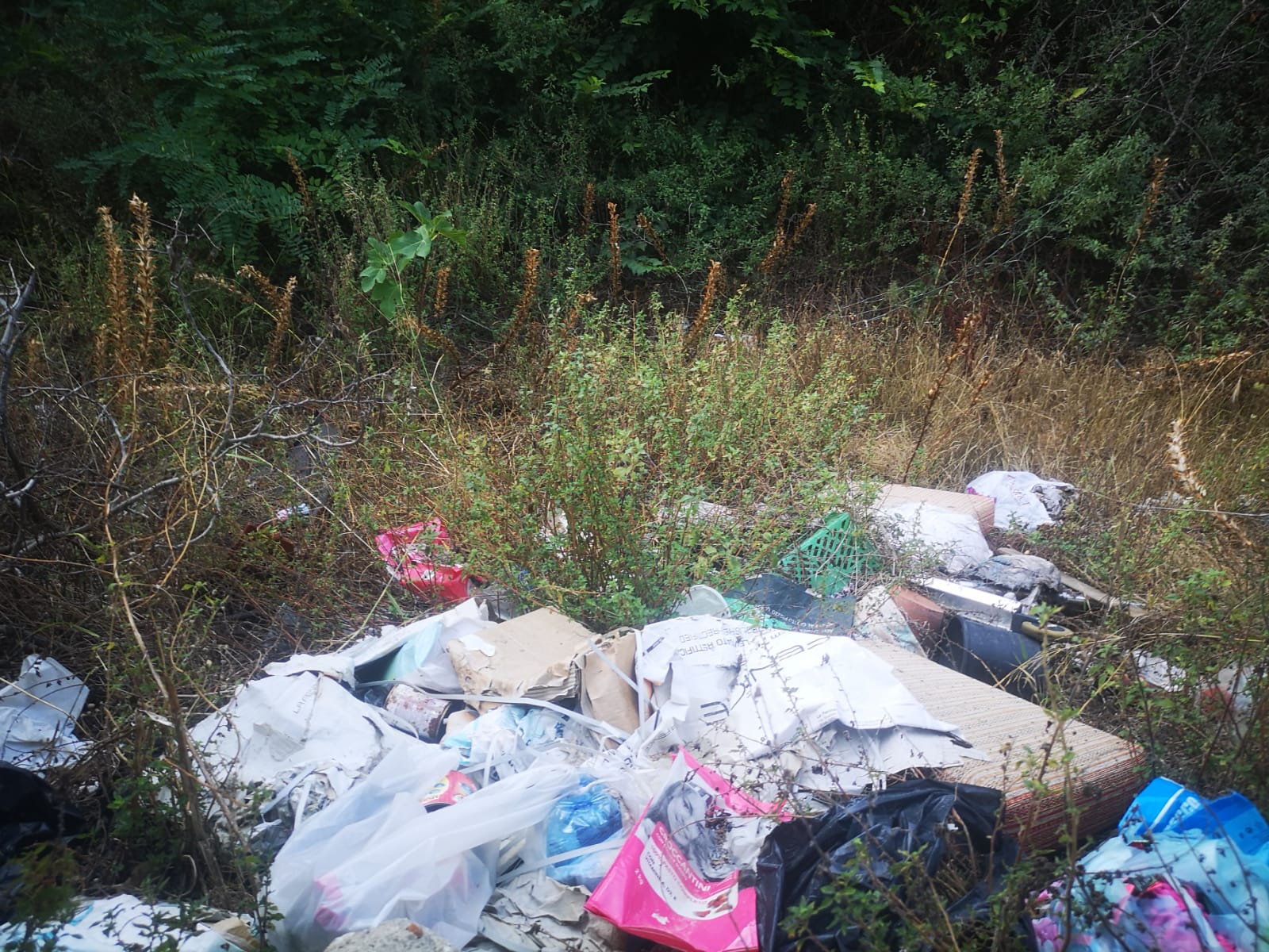 Rifiuti abbandonati greto del torrente 2