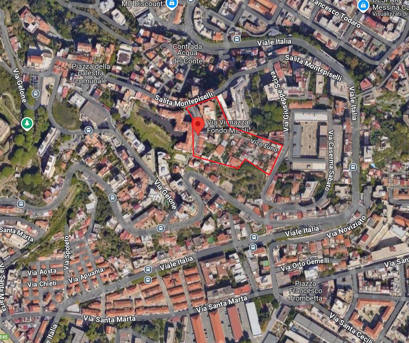 Fondo Miceli